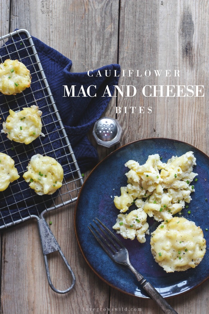 Delicious, creamy mac and cheese baked in little muffin tins for perfect individual portions! Freezes and re-heats beautifully and sneaks in a serving of veggies! Recipe at LoveGrowsWild.com