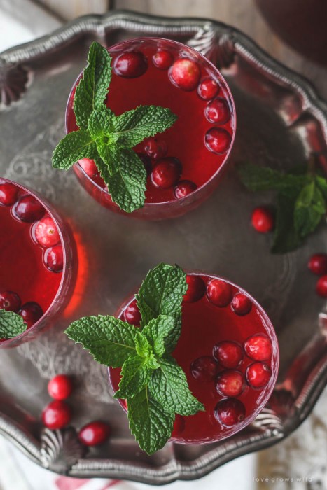 This non-alcoholic Cranberry Holiday Punch is a must for your next holiday party! Serve with cranberries and mint leaves for a beautiful presentation. | LoveGrowsWild.com