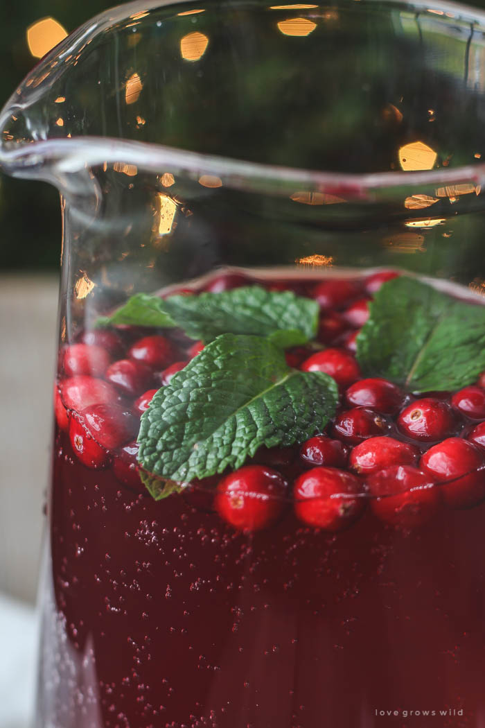 This non-alcoholic Cranberry Holiday Punch is a must for your next holiday party! Serve with cranberries and mint leaves for a beautiful presentation. | LoveGrowsWild.com