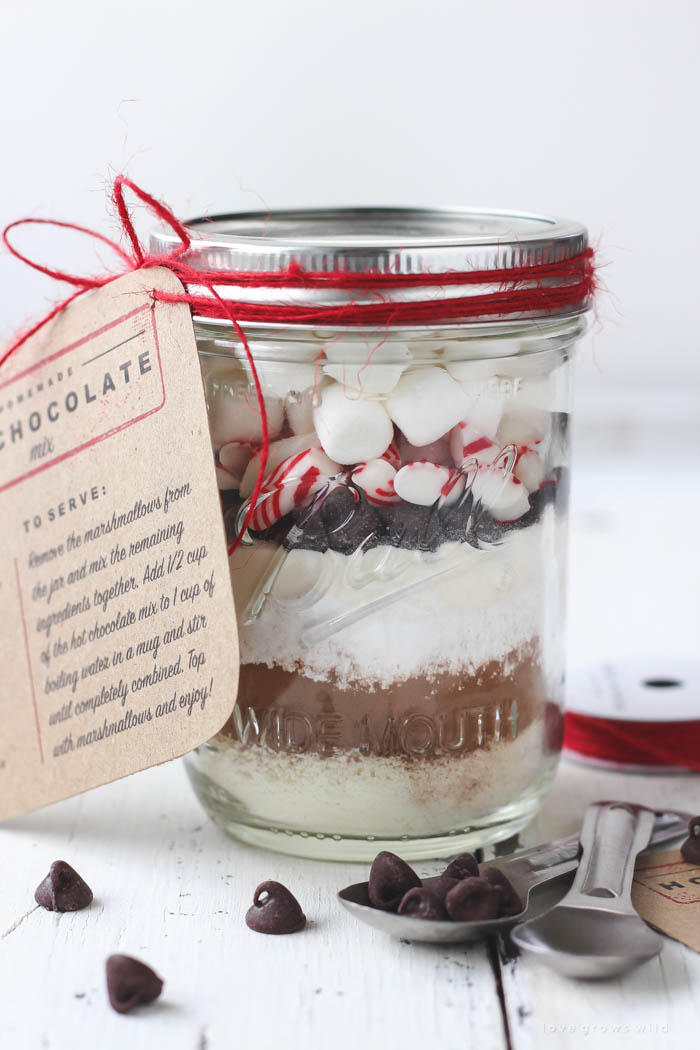 Homemade Hot Cocoa + Thermos Giveaway - Hoosier Homemade