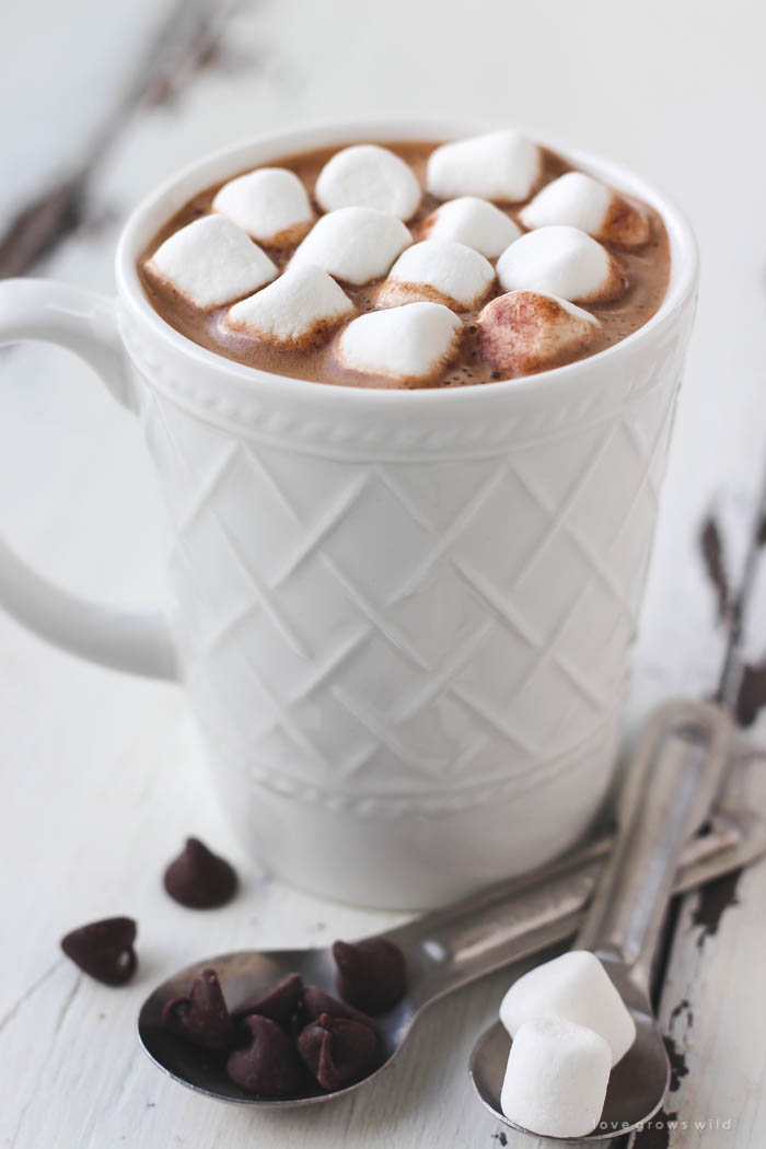 Un chocolat chaud et des mini chamallows Yummy! - Photo de