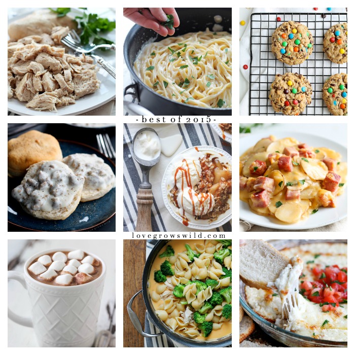 Best Recipes of 2015 from LoveGrowsWild.com