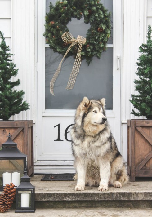 Take a tour of this Indiana farmhouse all dressed up for the holidays! See more photos at LoveGrowsWild.com