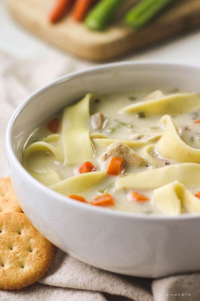 Quick and Easy Chicken Noodle Soup - Love Grows Wild