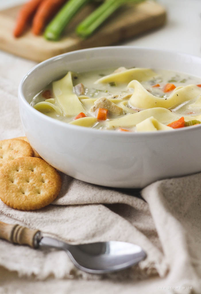 Homemade Chicken Noodle Soup - Belly Full