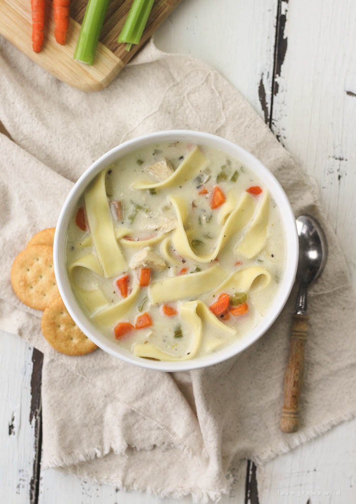 This homemade Creamy Chicken Noodle Soup is easy to make and so comforting! Get the recipe for this super creamy homemade soup at LoveGrowsWild.com