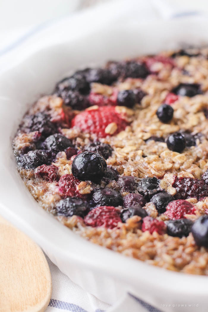 Enjoy a bowl of this warm, delicious Triple Berry Baked Oatmeal for breakfast! Easy to make and baked right in the oven... perfect for serving a crowd! | LoveGrowsWild.com