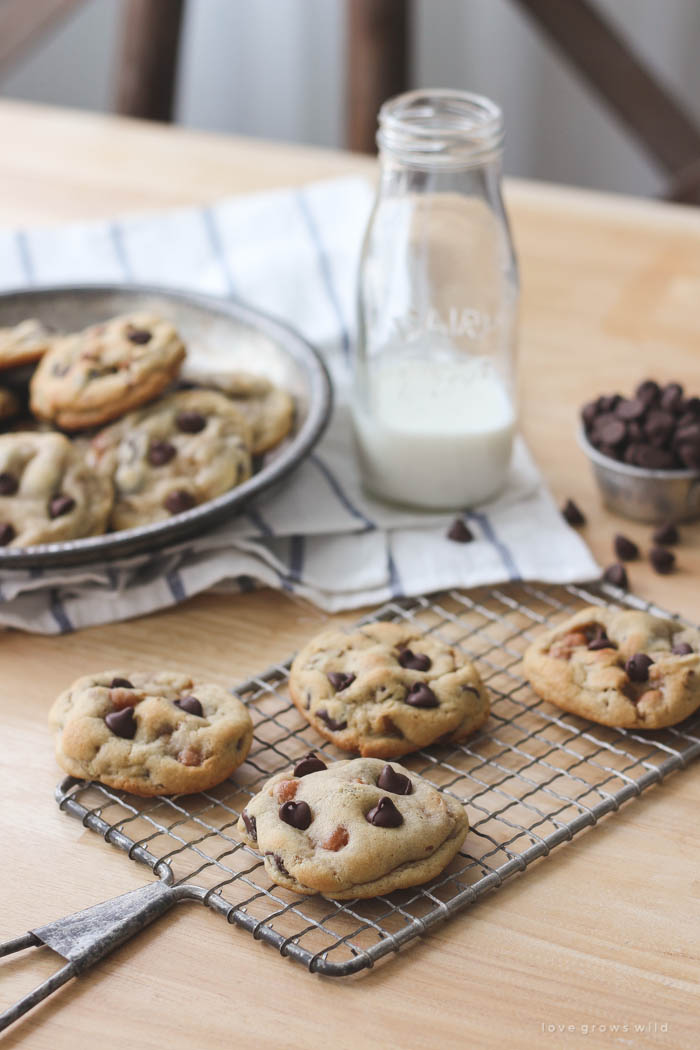 Soft, chewy chocolate chip cookies baked with caramel bits and pecans inside! Get the recipe at LoveGrowsWild.com