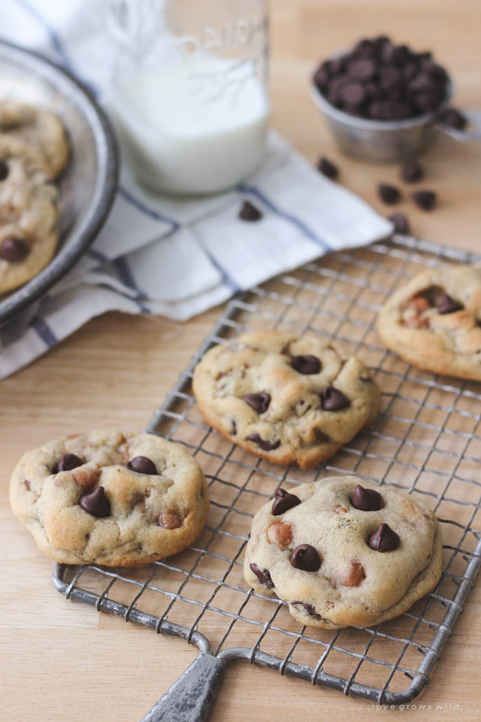 Zachte, kauwbare chocolate chip cookies gebakken met karamelstukjes en pecannoten binnenin! Het recept vind je op LoveGrowsWild.com