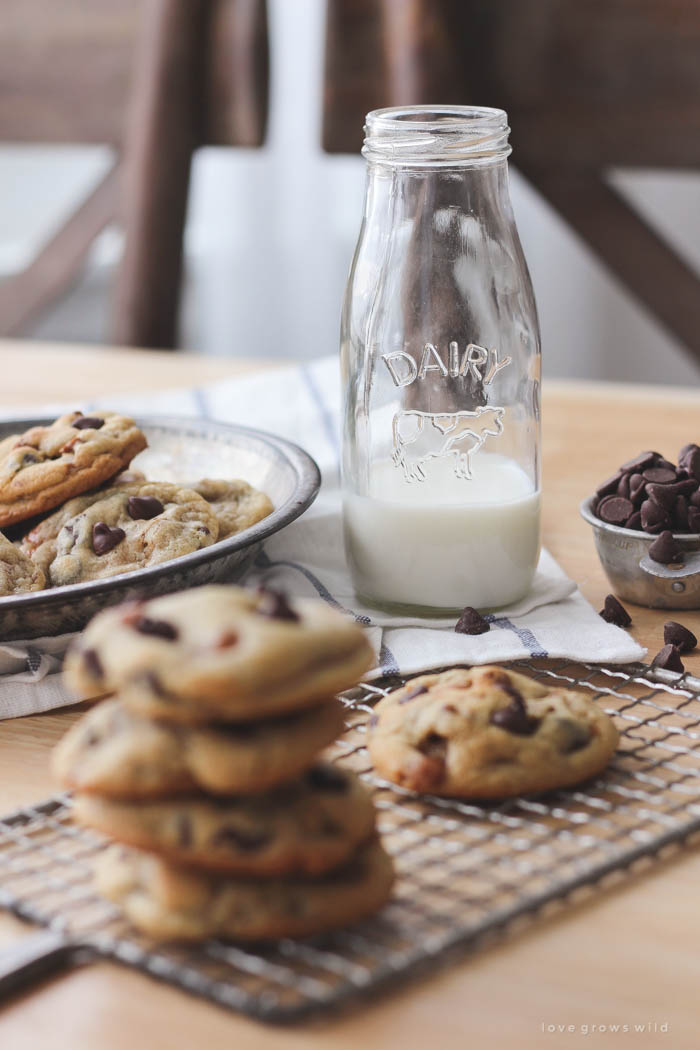 Soft, chewy chocolate chip cookies baked with caramel bits and pecans inside! Get the recipe at LoveGrowsWild.com