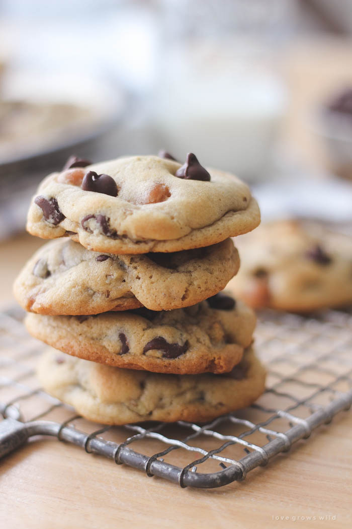 Soft, chewy chocolate chip cookies baked with caramel bits and pecans inside! Get the recipe at LoveGrowsWild.com