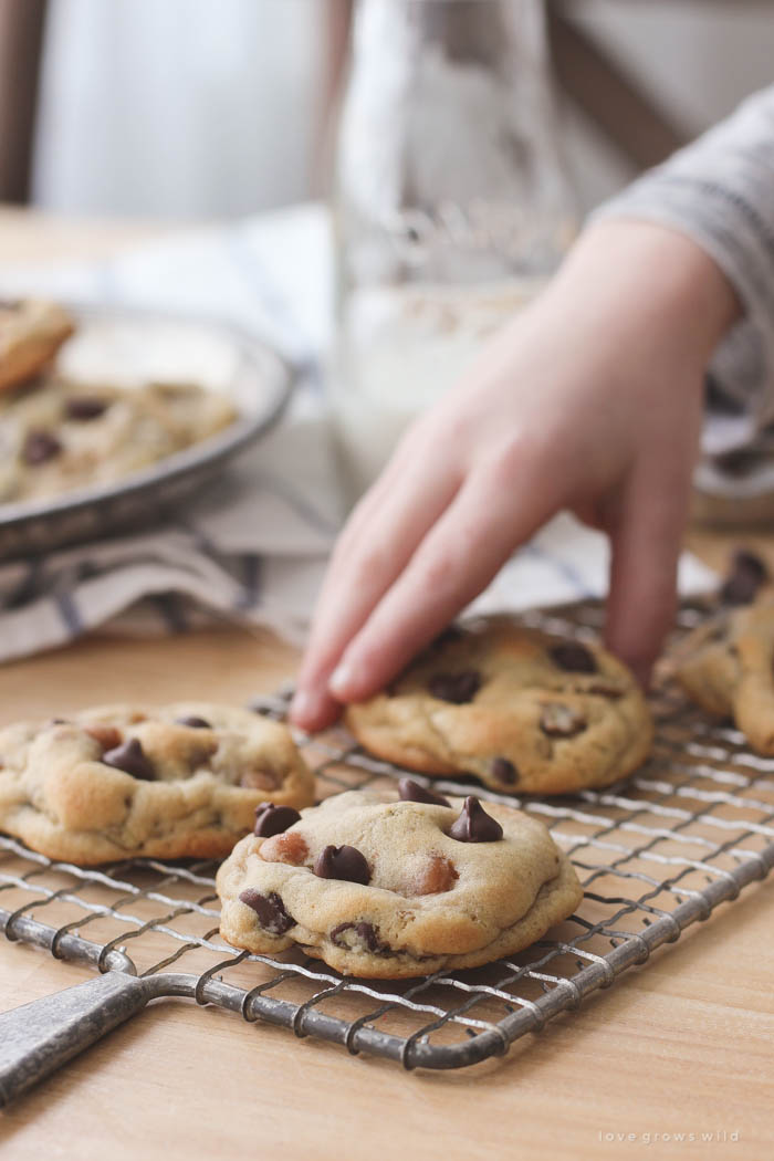 Zachte, chewy chocolate chip cookies gebakken met karamelstukjes en pecannoten binnenin! Download het recept op LoveGrowsWild.com