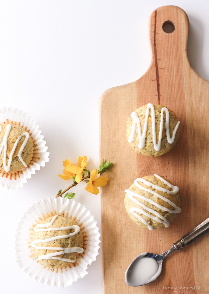 Moist, fluffy Lemon Poppy Seed Muffins baked to perfection with a sweet lemon icing on top! | LoveGrowsWild.com