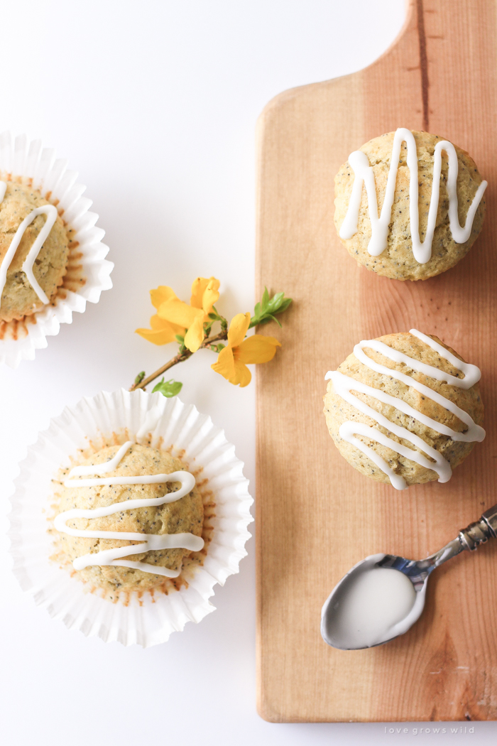 Moist, fluffy Lemon Poppy Seed Muffins baked to perfection with a sweet lemon icing on top! | LoveGrowsWild.com