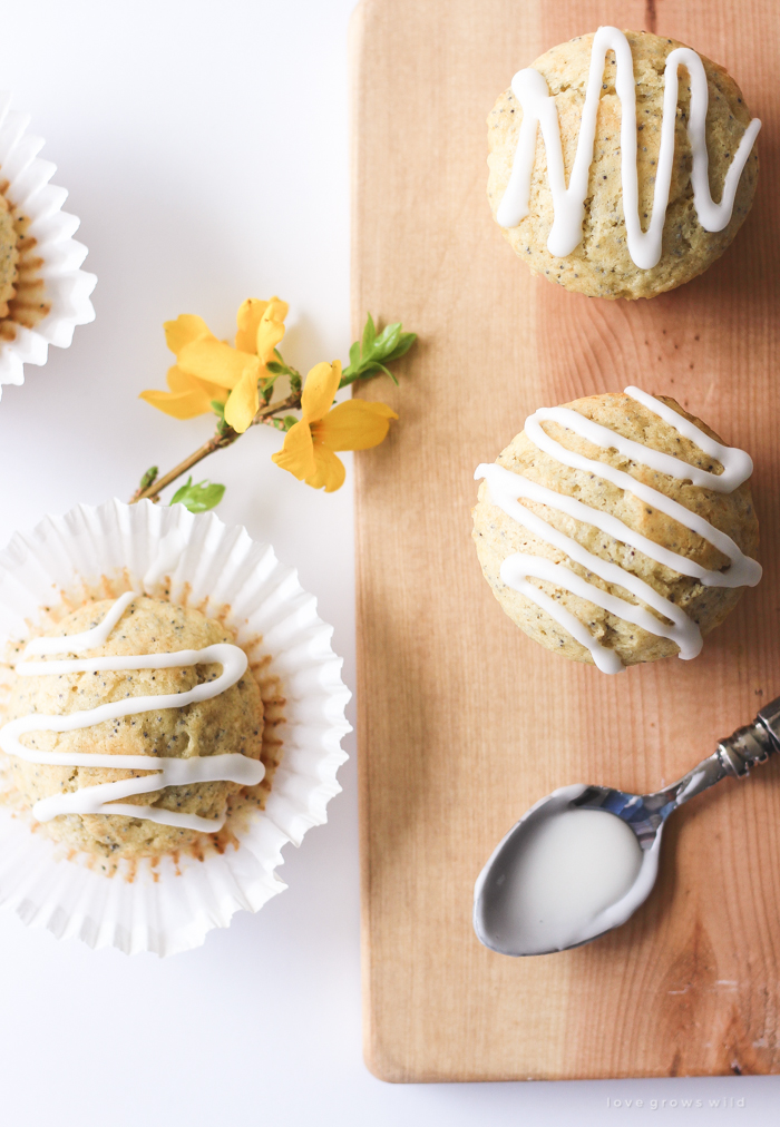 Moist, fluffy Lemon Poppy Seed Muffins baked to perfection with a sweet lemon icing on top! | LoveGrowsWild.com