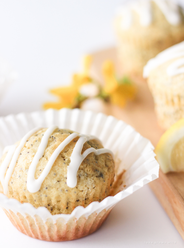 Moist, fluffy Lemon Poppy Seed Muffins baked to perfection with a sweet lemon icing on top! | LoveGrowsWild.com