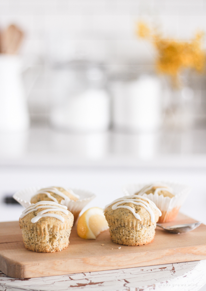 Moist, fluffy Lemon Poppy Seed Muffins baked to perfection with a sweet lemon icing on top! | LoveGrowsWild.com