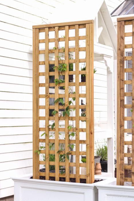 Learn how to make this gorgeous trellis planter for your garden or patio! Perfect for adding a little privacy and a great project for beginners!