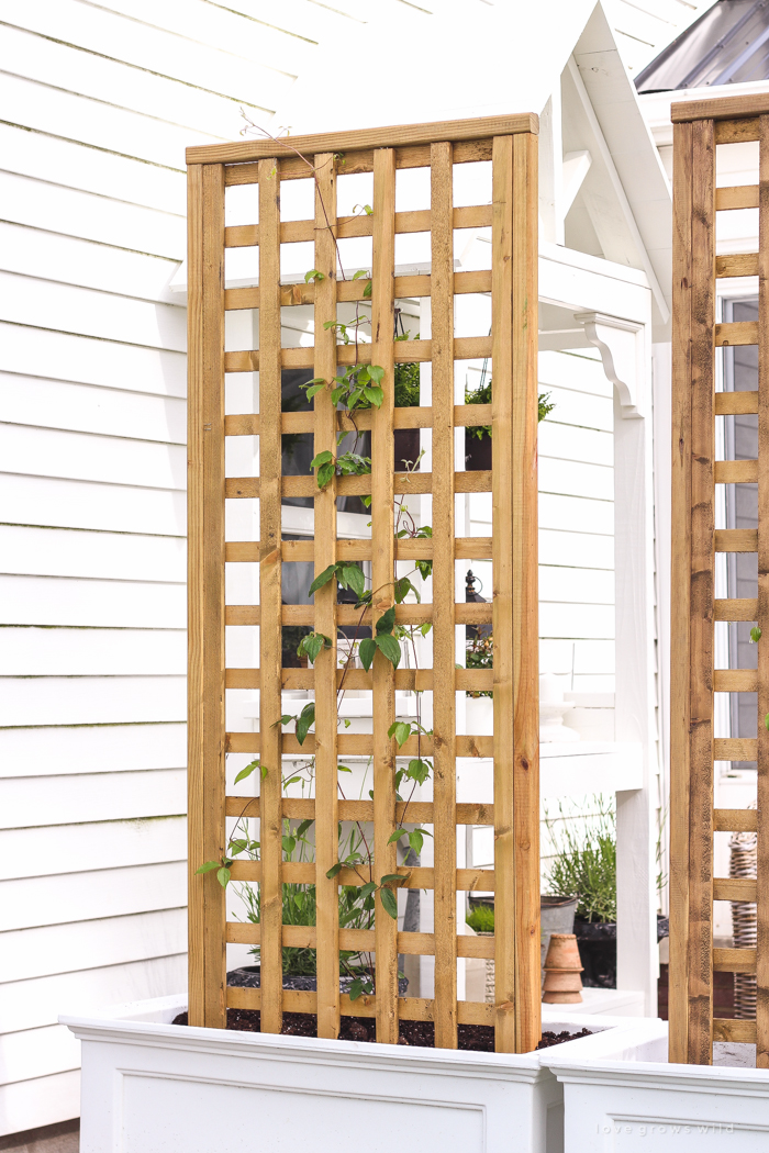 Trellis planter store