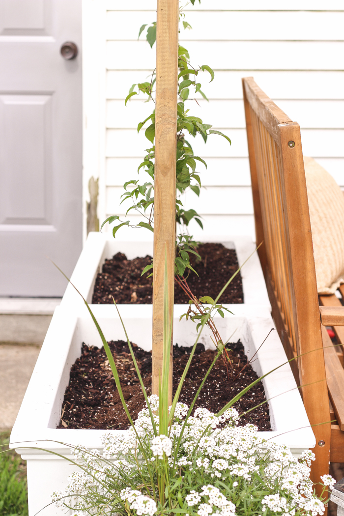 Learn how to make this gorgeous trellis planter for your garden or patio! Perfect for adding a little privacy and a great project for beginners!