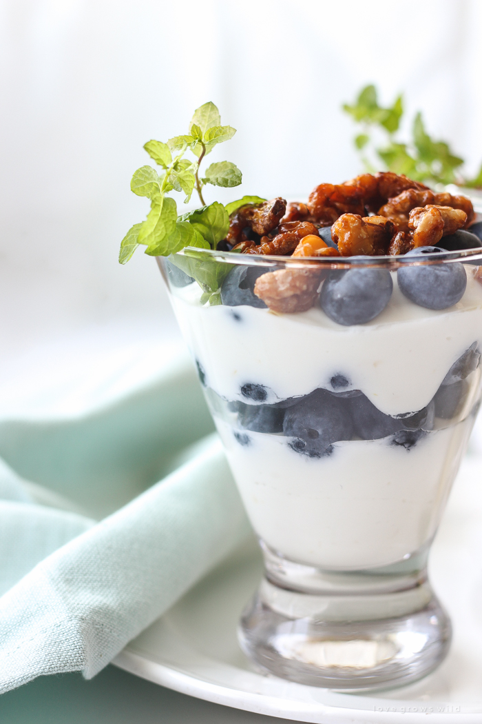 Lemon-infused Greek yogurt topped with fresh blueberries and toasted honey-glazed walnuts makes the perfect healthy breakfast for busy mornings!