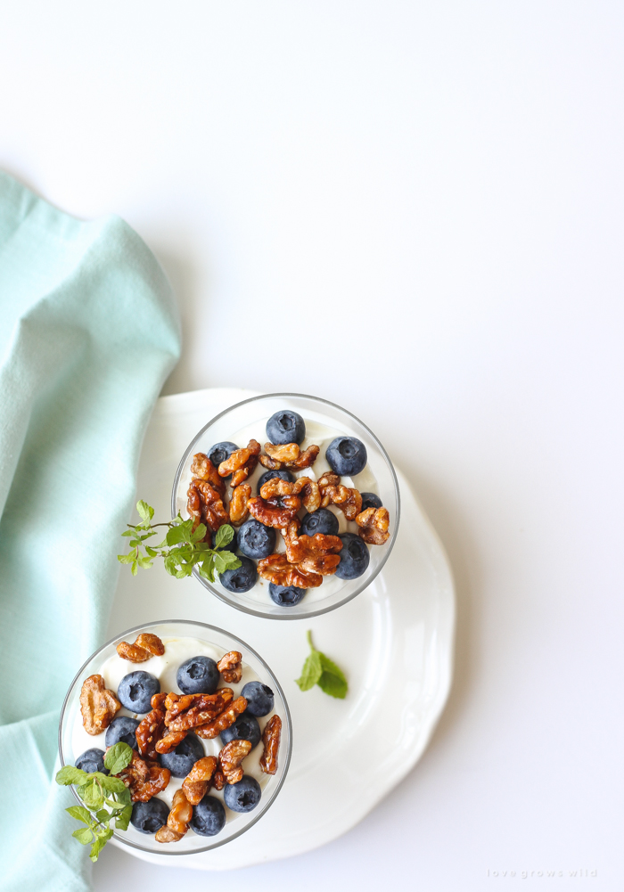 Lemon-infused Greek yogurt topped with fresh blueberries and toasted honey-glazed walnuts makes the perfect healthy breakfast for busy mornings!