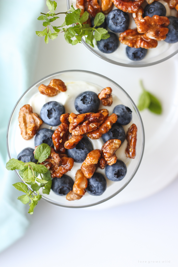 Lemon-infused Greek yogurt topped with fresh blueberries and toasted honey-glazed walnuts makes the perfect healthy breakfast for busy mornings!