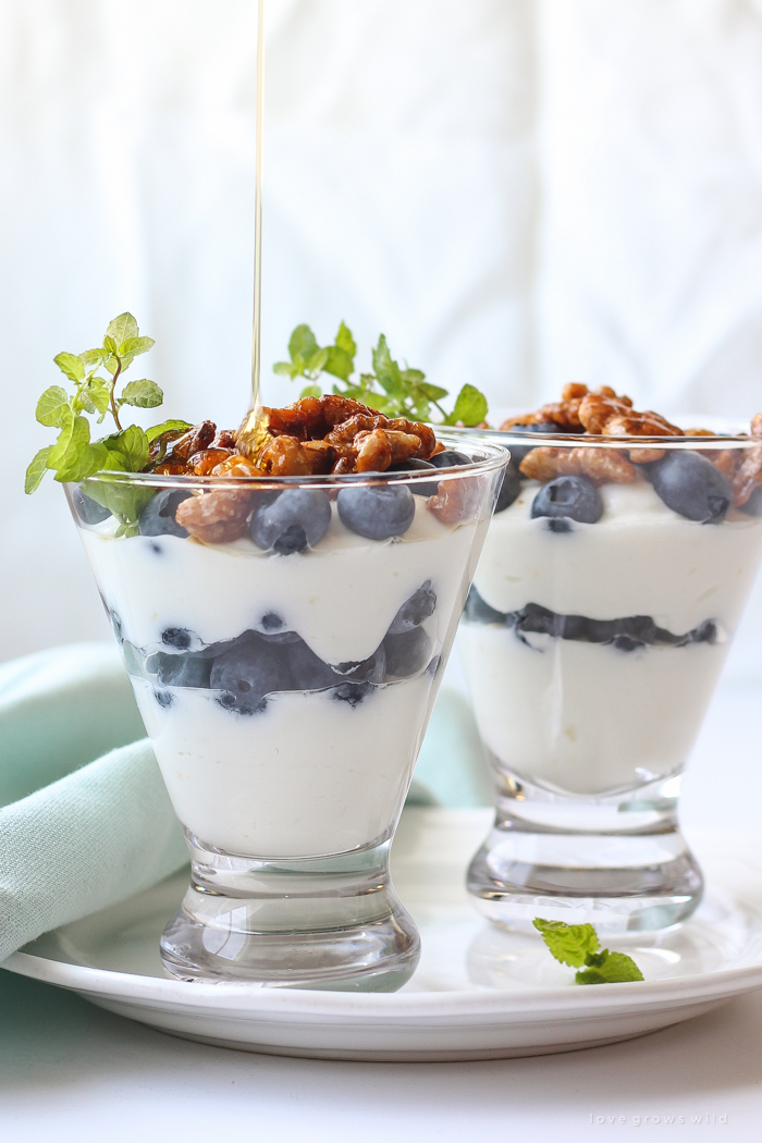 Lemon-infused Greek yogurt topped with fresh blueberries and toasted honey-glazed walnuts makes the perfect healthy breakfast for busy mornings!