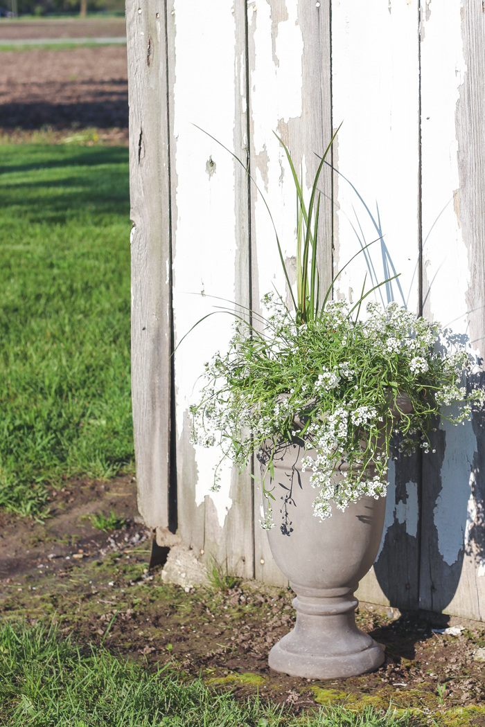 Outdoor decorating ideas including urn planters, an antique tobacco basket, boxwood topiaries and more! See more of this charming white barn at LoveGrowsWild.com