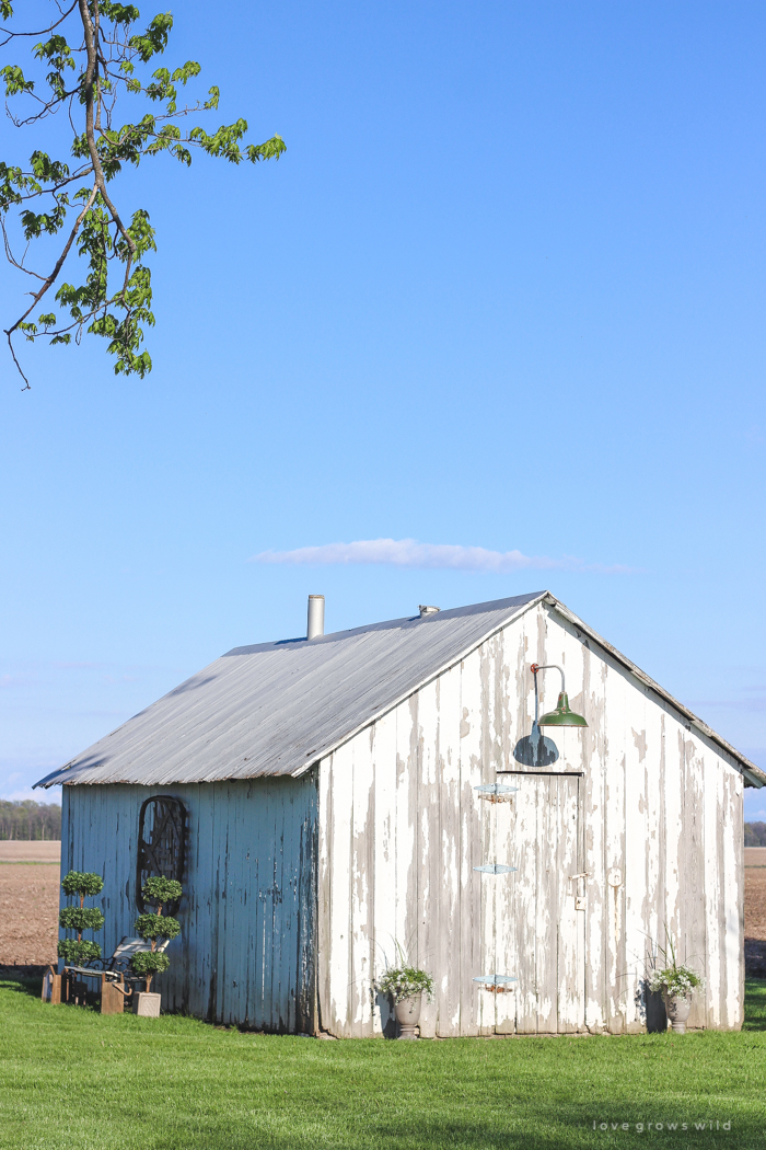 Outdoor decorating ideas including urn planters, an antique tobacco basket, boxwood topiaries and more! See more of this charming white barn at LoveGrowsWild.com