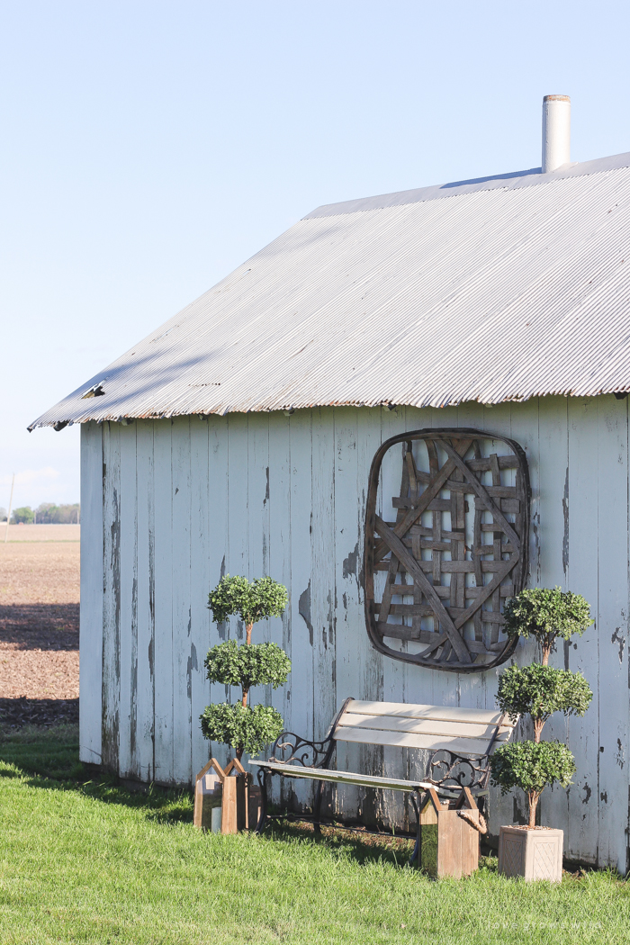 Outdoor decorating ideas including urn planters, an antique tobacco basket, boxwood topiaries and more! See more of this charming white barn at LoveGrowsWild.com