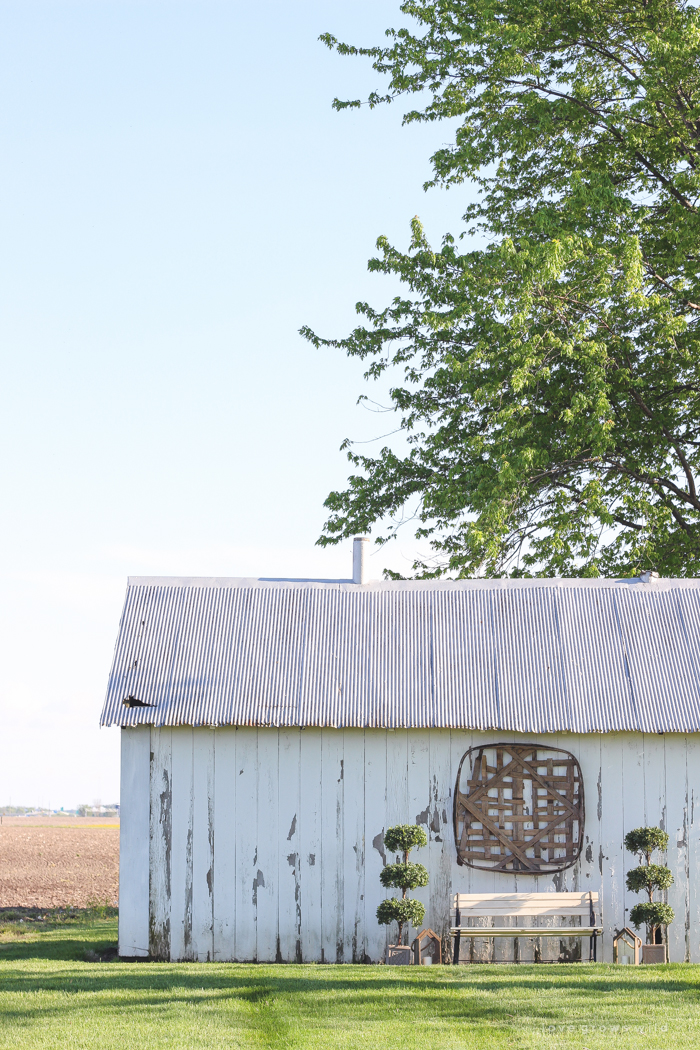 Outdoor decorating ideas including urn planters, an antique tobacco basket, boxwood topiaries and more! See more of this charming white barn at LoveGrowsWild.com