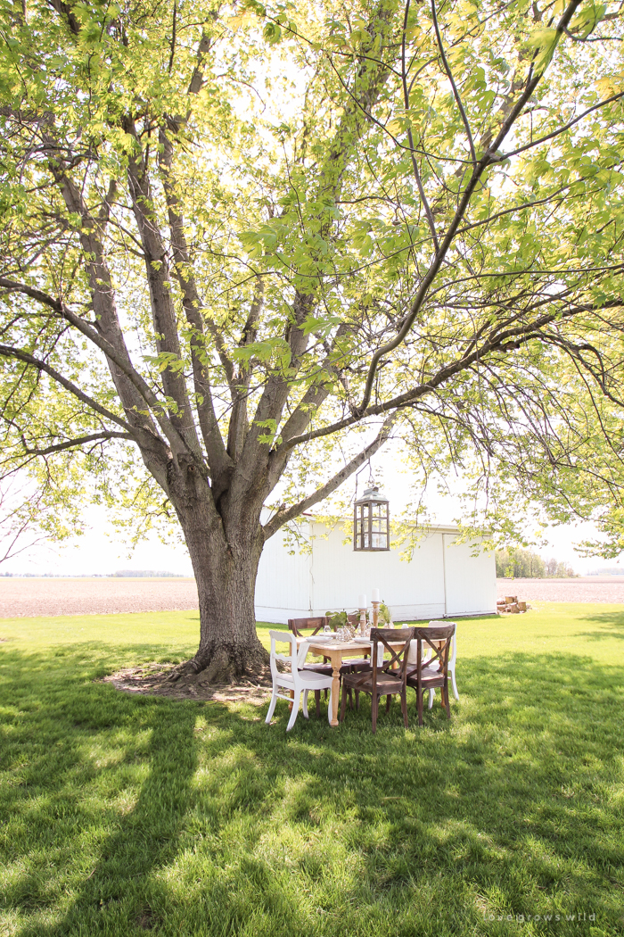 Learn how to create the perfect outdoor table setting with shopping and decorating tips from Liz Fourez. This view of her farm is stunning!