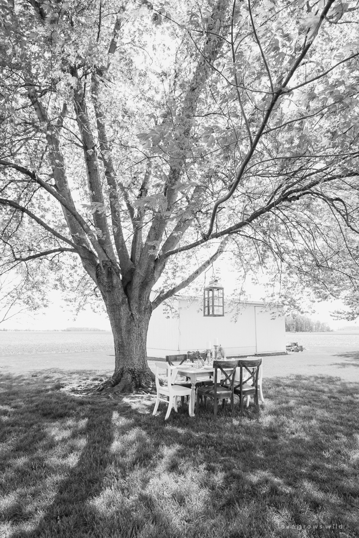 Learn how to create the perfect outdoor table setting with shopping and decorating tips from Liz Fourez. This view of her farm is stunning!