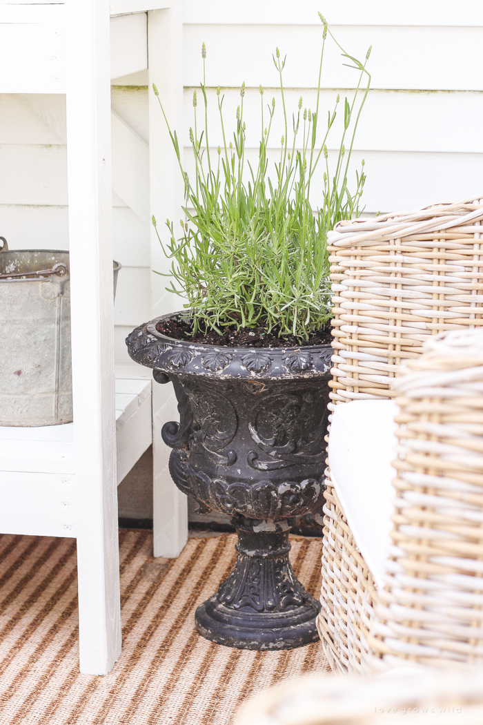 A boring, bare patio turned into a gorgeous outdoor entertaining area! See the incredible before and after of this beautiful patio makeover! 