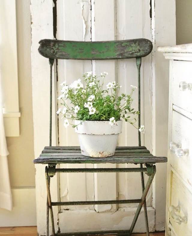 Weekly home and design inspiration from LoveGrowsWild.com