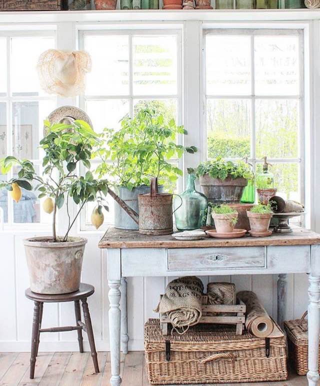 Weekly home and design inspiration from LoveGrowsWild.com