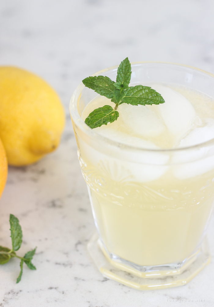 A refreshing orange twist on a classic summer drink. Fresh, sweet, and so simple to make! 
