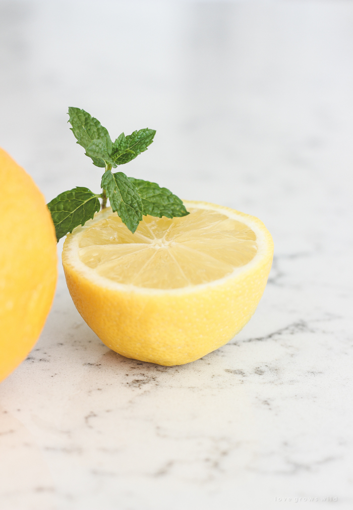 A refreshing orange twist on a classic summer drink. Fresh, sweet, and so simple to make! 