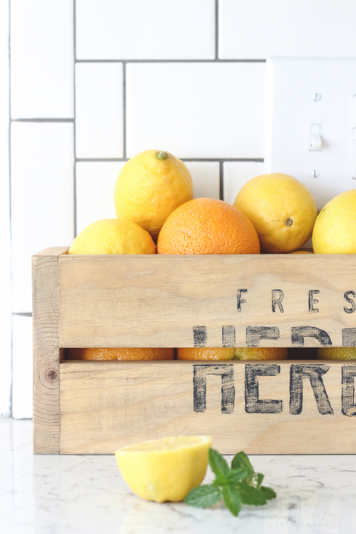 A refreshing orange twist on a classic summer drink. Fresh, sweet, and so simple to make! 