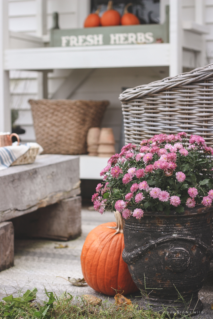 A small patio is transformed into a cozy seating area for fall. 