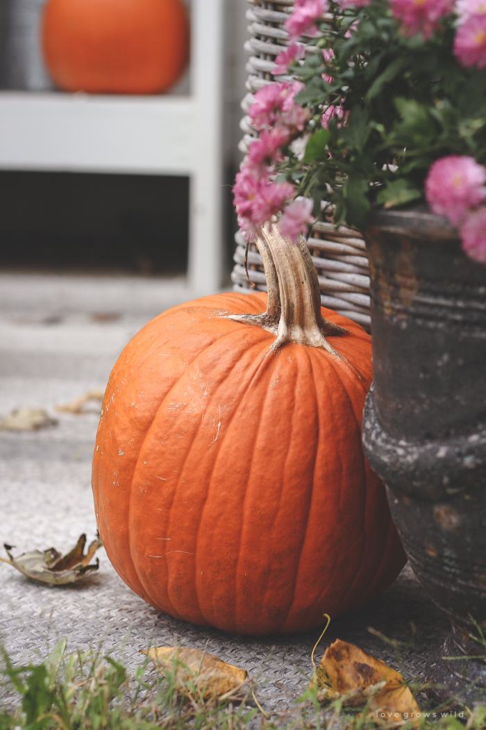 A small patio is transformed into a cozy seating area for fall.