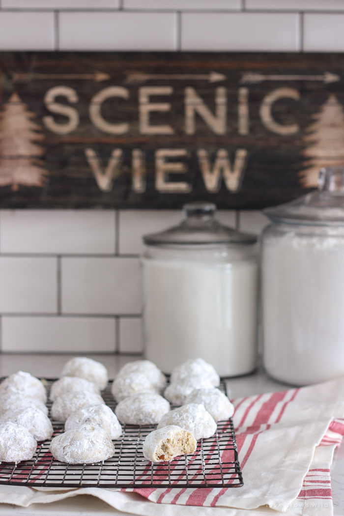 These Snowball Cookies are melt-in-your-mouth delicious and so easy to make!