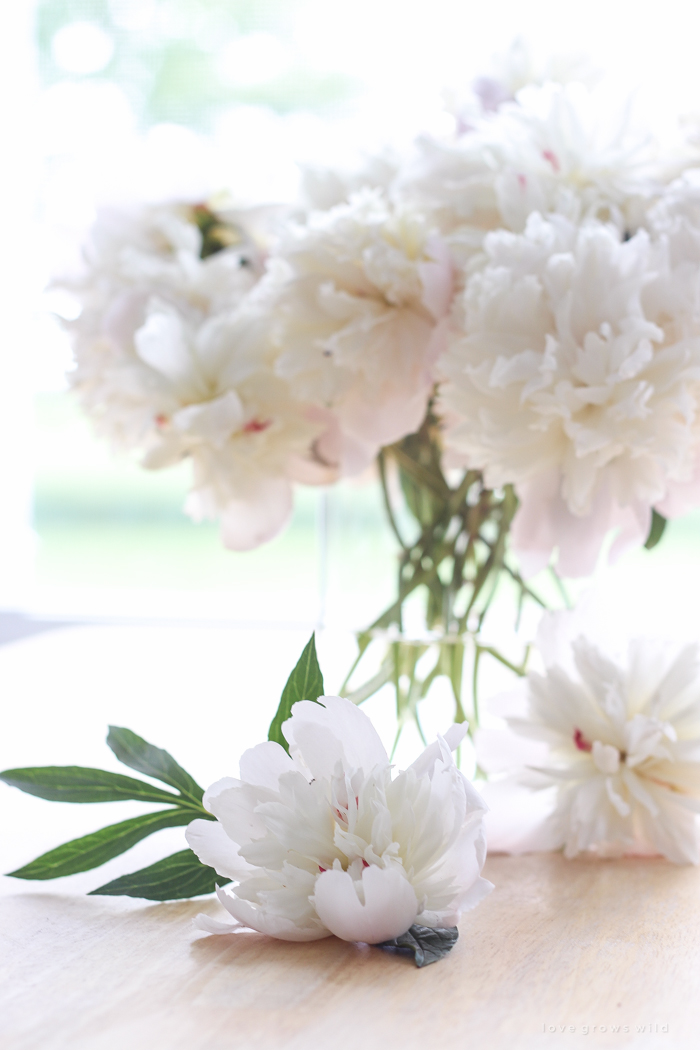 Freshly picked peonies decorate this beautiful farmhouse kitchen by Liz Fourez