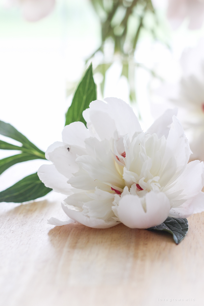 Freshly picked peonies decorate this beautiful farmhouse kitchen by Liz Fourez