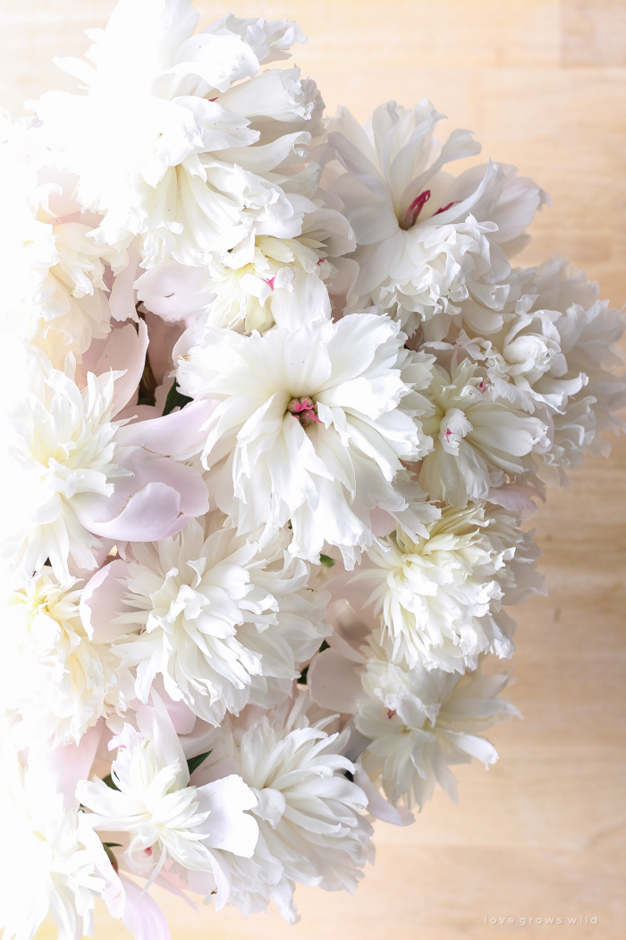 Freshly picked peonies decorate this beautiful farmhouse kitchen by Liz Fourez