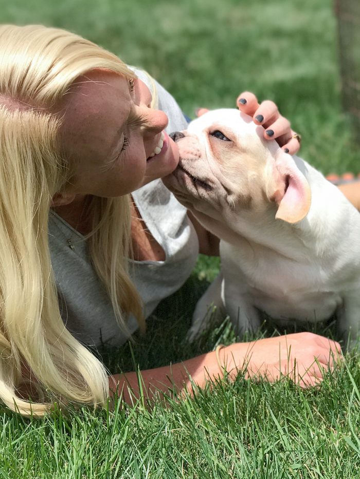 A four month old French bulldog comes home to the farmhouse