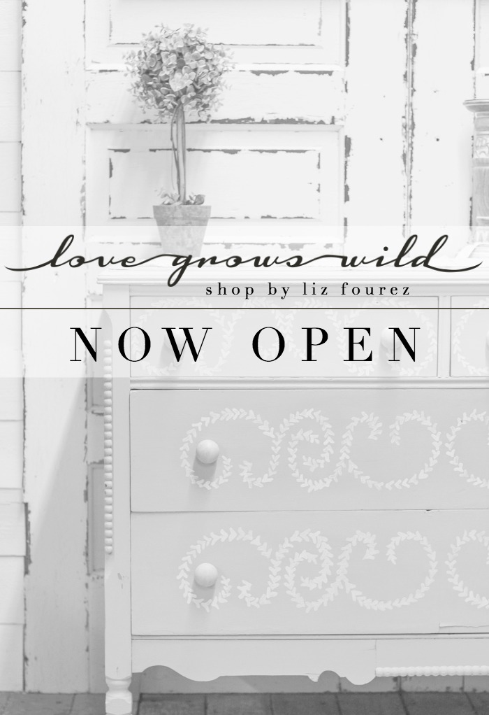 Blogger and author Liz Fourez opens a store location in Indiana