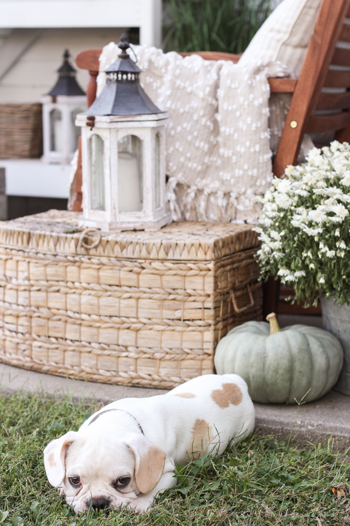 A cozy fall patio perfect for entertaining