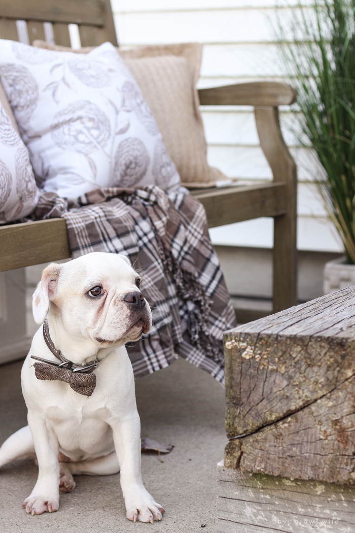 A cozy fall patio perfect for entertaining